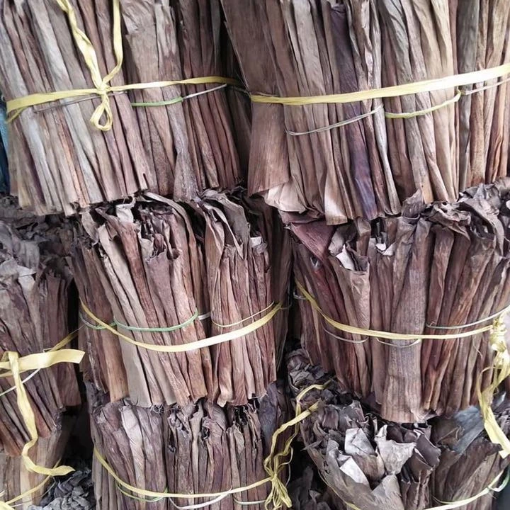 Dried Banana Leaf