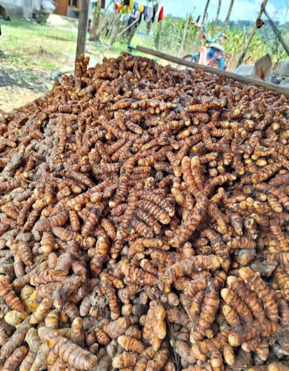 Gudang Utama
